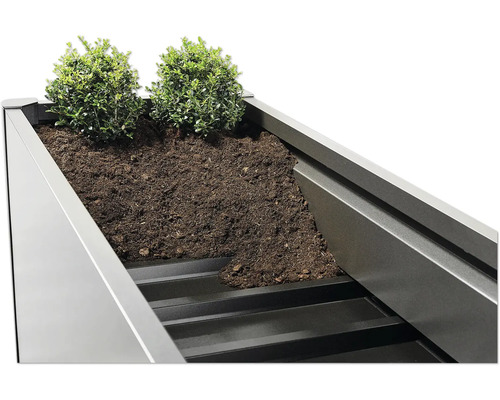Jardinière surélevée avec plantes et terre