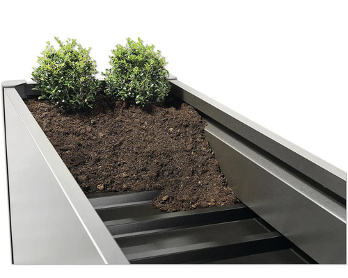 Gros plan d''un potager surélevé avec de la terre et des plantes.