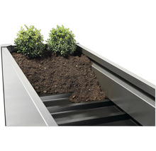 Vue détaillée d''une jardinière rectangulaire plantée