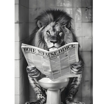 Lion assis sur les toilettes lisant le journal