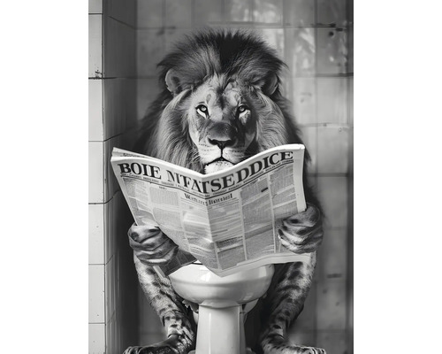 Lion assis sur les toilettes lisant le journal