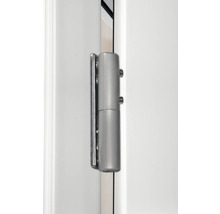 Paumelle métallique fixée sur une porte