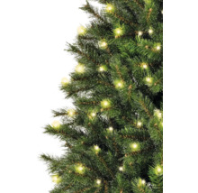Gros plan d''un sapin de Noël décoré avec des lumières