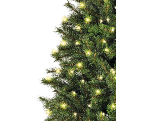 Gros plan d''un sapin de Noël décoré avec des lumières