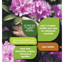 Terreau pour rhododendrons FloraSelf 40 l également pour azalées, Erica et autres plantes de bruyère