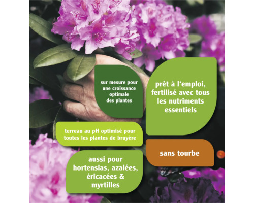 Terreau pour rhododendrons FloraSelf 40 l également pour azalées, Erica et autres plantes de bruyère