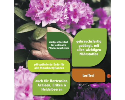Informationen zur Pflanzerde: maßgeschneidert für optimales Pflanzenwachstum, gebrauchsfertig gedüngt mit allen wichtigen Nährstoffen, pH-optimierte Erde für alle Moorbeetpflanzen, auch für Hortensien, Azaleen, Eriken und Heidelbeeren, torffrei.