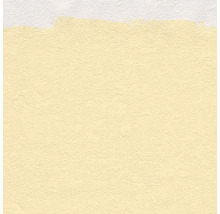 Papier peint structuré avec couche de peinture