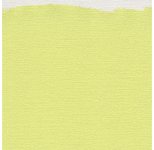 Peinture murale claire sur fond texturé