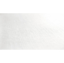 Gros plan d''une surface en bois blanc avec grain