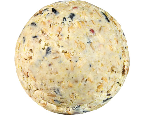 Boule de nourriture pour oiseaux sauvages