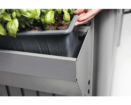 Une personne place un bac à plantes dans un rayonnage métallique gris