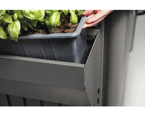 Une personne place une jardinière dans une structure métallique avec des plantes