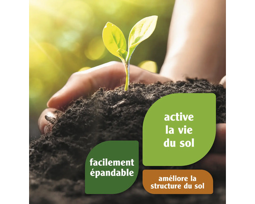 Jeune plante dans la main sur terre avec des instructions pour l''amélioration du sol.