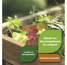 Compost avec feuilles et restes de plantes, informations sur la stimulation des micro-organismes et l''accélération de la décomposition