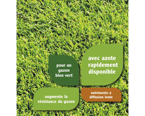 Engrais pour gazon FloraSelf 10 kg / 250 m² engrais minéral Informations sur l''azote, les nutriments et la résistance du gazon
