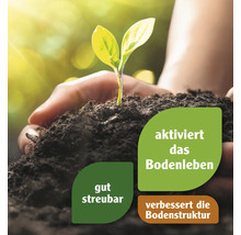Eine Hand hält Erde mit einer kleinen Pflanze. Die Erde aktiviert das Bodenleben, ist gut streubar und verbessert die Bodenstruktur.
