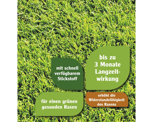 Grüner Rasen mit Hinweisen zu Stickstoff und Langzeitwirkung