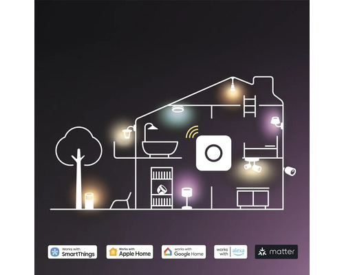 Hausumriss mit Smart Home Geräten und den Logos von SmartThings, Apple Home, Google Home, Alexa und Matter