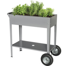 Hochbeet aus Metall mit Rädern und Kräutern