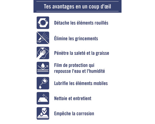 Aperçu des avantages: Détache la rouille, élimine les grincements, pénètre la saleté et la graisse, film protecteur hydrofuge, lubrifie les pièces mobiles, nettoie et entretient, empêche la corrosion