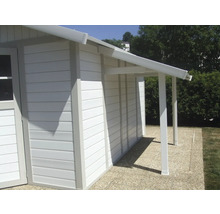 Abri de jardin blanc avec auvent