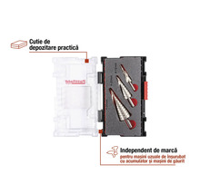 Jeu de forets étagés dans une boîte de rangement transparente