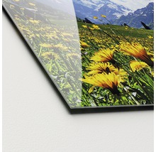 Gros plan d''une plaque en verre acrylique avec un motif de paysage représentant un champ de fleurs et des montagnes.