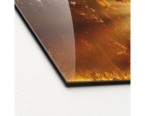 Nahaufnahme einer Acrylglasplatte mit Waldmotiv