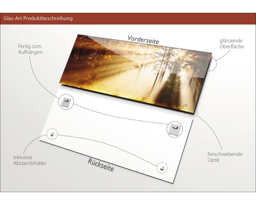 Glasbild mit Waldmotiv, glänzender Oberfläche, inklusive Abstandshalter und Aufhängung