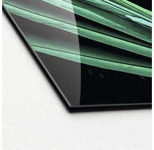 Glasbild Green Parrot 30x80 cm