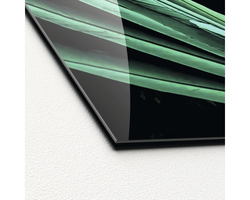 Gros plan d''une plaque de verre avec un motif de plantes