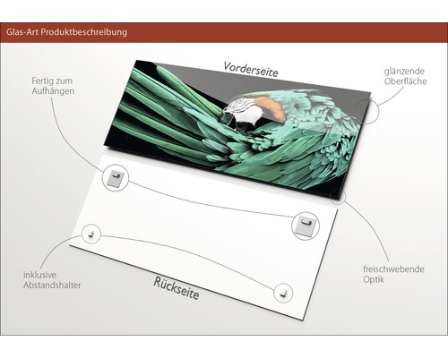 Glasbild mit Aufhängung, Abstandshalter und glänzender Oberfläche