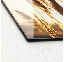 Nahaufnahme eines Glasbildes mit Gräsern