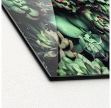 Gros plan d''une plaque en verre acrylique avec un motif de plantes grasses