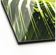 Gros plan d''une image en verre acrylique avec un motif de palmier.
