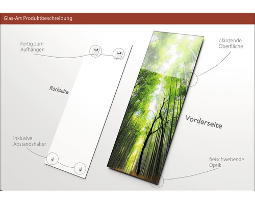 Glasbild mit Bambuswald Motiv, inklusive Wandhalterung