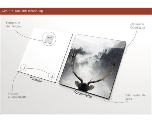 Glasbild mit Hirschmotiv, inklusive Aufhängung und Abstandshalter