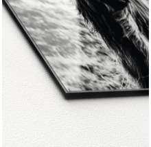 Vue détaillée d''une plaque de verre avec un motif animalier