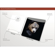 Glasbild Brown bear 20x20 cm