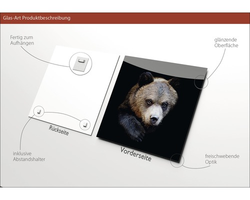 Glasbild mit Bärenmotiv, inklusive Aufhängevorrichtung und Abstandshalter