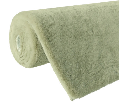 Teppich Meterware auf Rolle