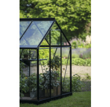 Serre avec plantes dans le jardin