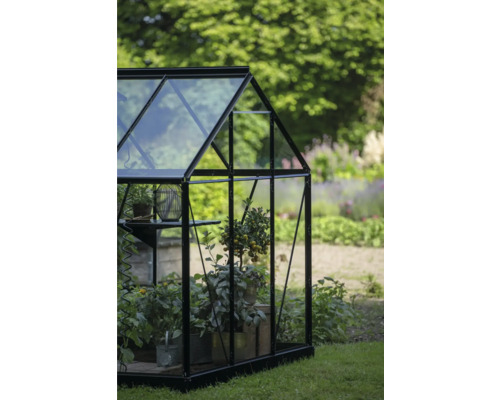 Serre avec plantes dans le jardin