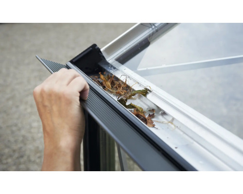 Detailaufnahme einer Dachrinne mit Laub an einem Gewächshaus.