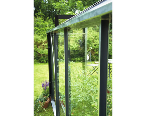 Detailansicht eines Gewächshauses mit Pflanzen im Garten