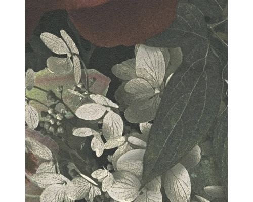 Gros plan sur des feuilles et des fleurs d'hortensia