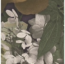 Gros plan sur des fleurs et des feuilles d'hortensia