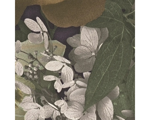 Gros plan sur des fleurs et des feuilles d'hortensia