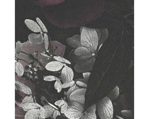 Nahaufnahme von Hortensienblüten und Blättern